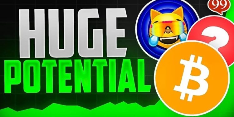 5 altcoin đang được cá voi mua vào mạnh trước đợt tăng giá mới của Bitcoin